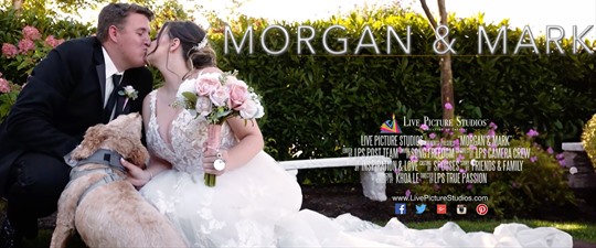 Morgan and Mark Wedding Highlight