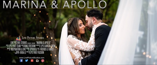 Marina and Apollo Wedding Highlight